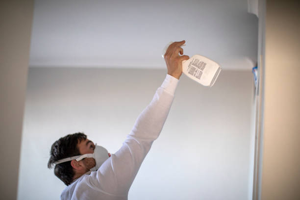 Best Local Mold Removal Service  in Fallsburg, NY