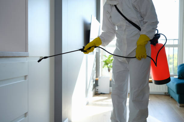 Best Crawl Space Mold Removal  in Fallsburg, NY