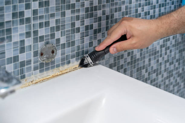 Best Same-Day Mold Removal  in Fallsburg, NY